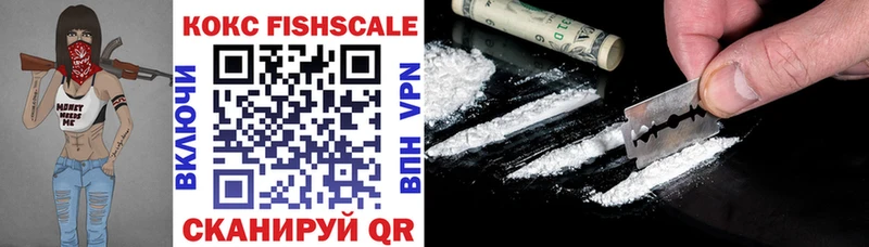 Купить закладки  Богданович  COCAIN Fish Scale 