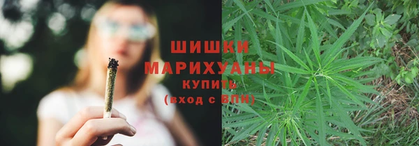 тгк Бронницы