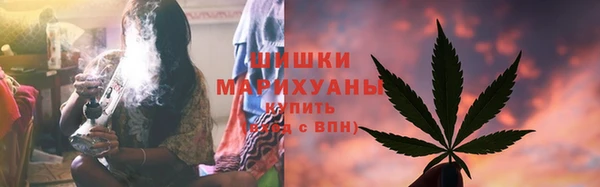 тгк Бронницы