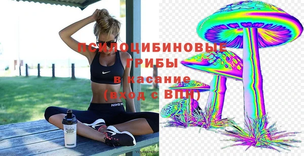 тгк Бронницы