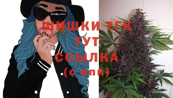 винт Бородино