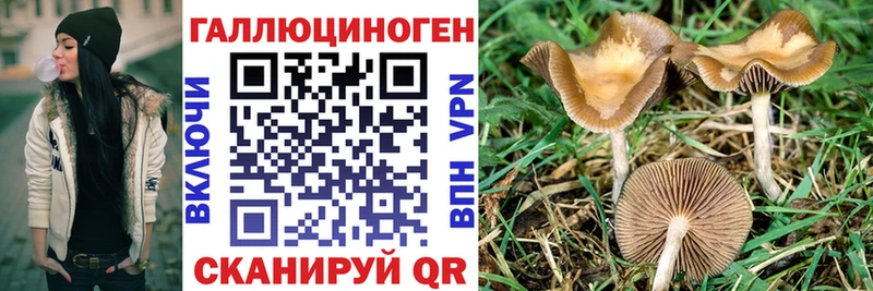 Псилоцибиновые грибы ЛСД  Купить  Богданович 